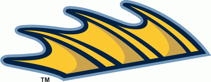 toledo walleye 2009-pres alternate logo v3 iron on heat transfer